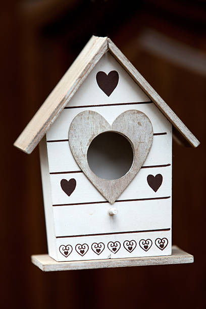 istock wooden house for birds 503006661