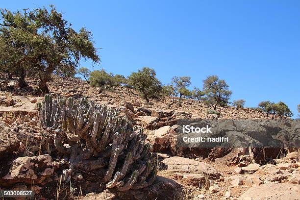 Cactus Fruit Stockfoto und mehr Bilder von Abschied - Abschied, Afrika, Antiatlas