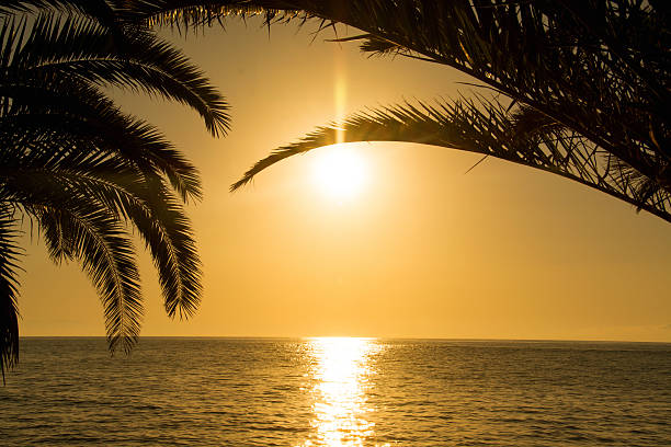 istock Tropical Island Sunrise 503011017