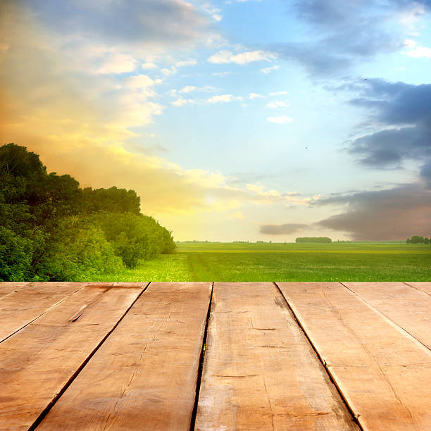 istock summer background with wooden planks 503013639
