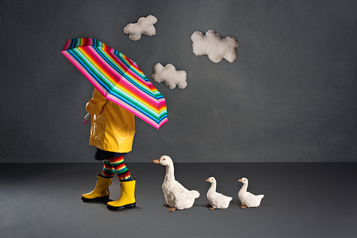 Little girl in colorful rain gear walking with an umbrella and being followed by three ducks. Studio styled session.