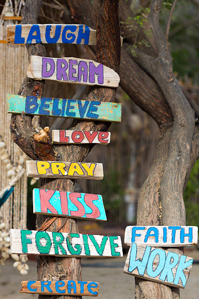 istock Various wooden signs on tree trunk in Mancora, Peru 503017684