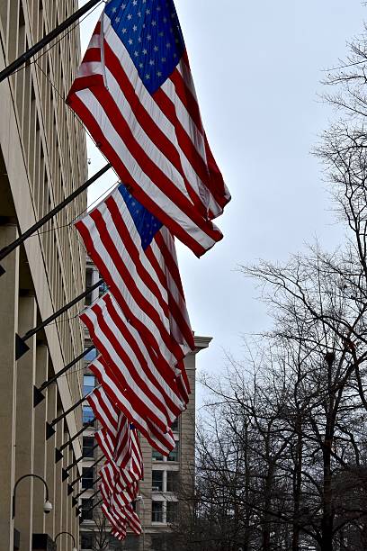 istock US flags lined up accross a building 503019500