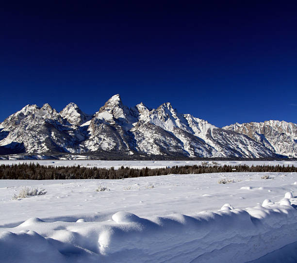 istock Grand Tetons Minarets and Spires 503019750