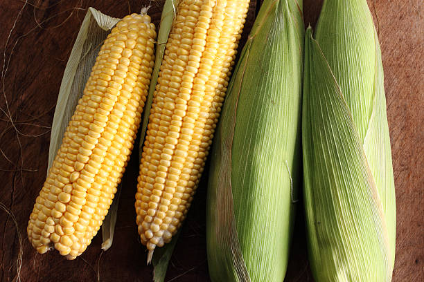 istock yellow sweet corn Raw Yellow Sweet Corn for Cooking 503020920