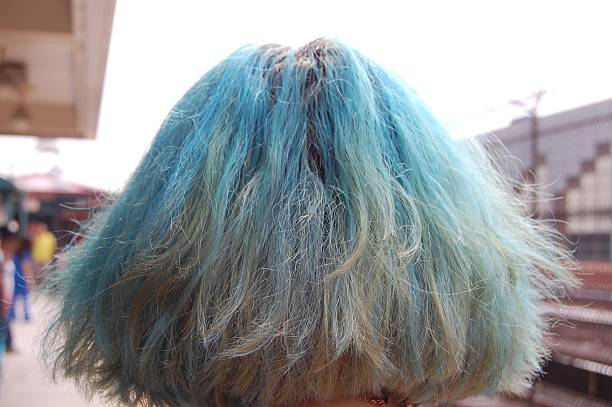 istock Blueberry Hair 503023177