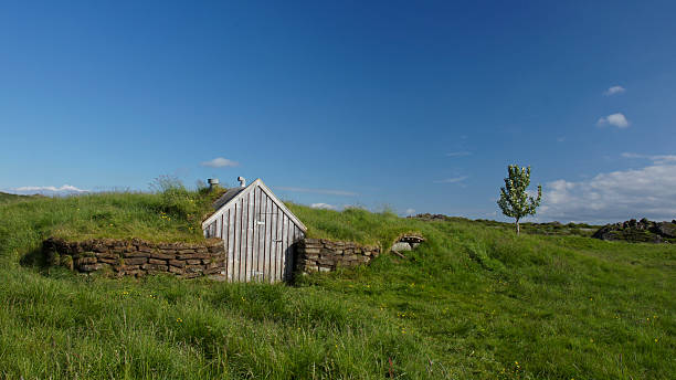 istock Grass Roof Hut 503023503