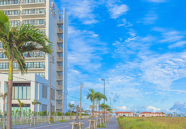 istock Sun and blue sky with asphalt road 503023639
