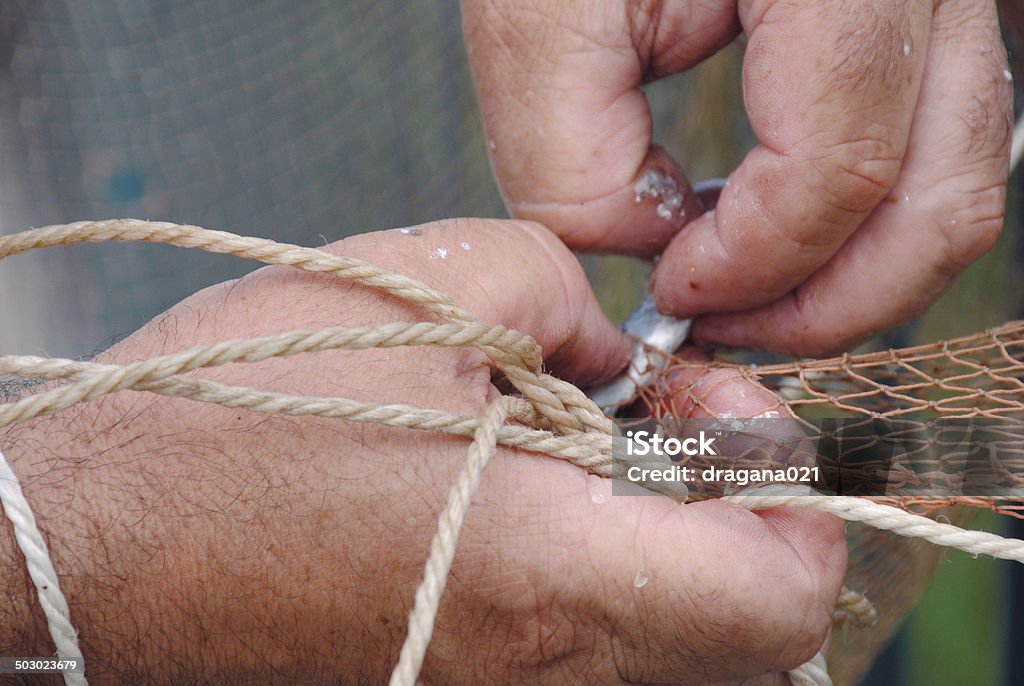 Fisherman caught a fish with his hand amd fishing net Fisherman is removing a fish that was caught in the fishing net, with his fingers and hands. Activity Stock Photo