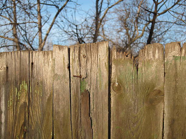 istock Old wooden broken fence 503024592