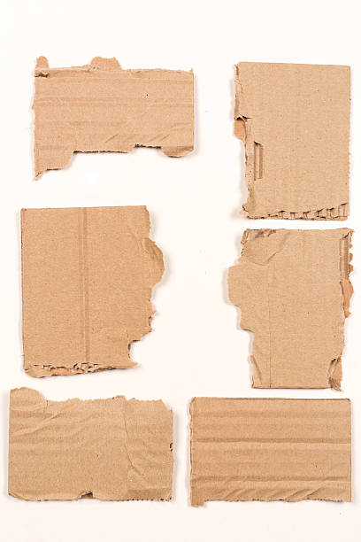 istock Torn pieces of cardboard 503025804