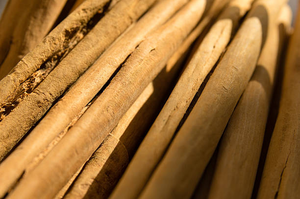 istock Closeup of Dry Rolled Cinnamon 503026376