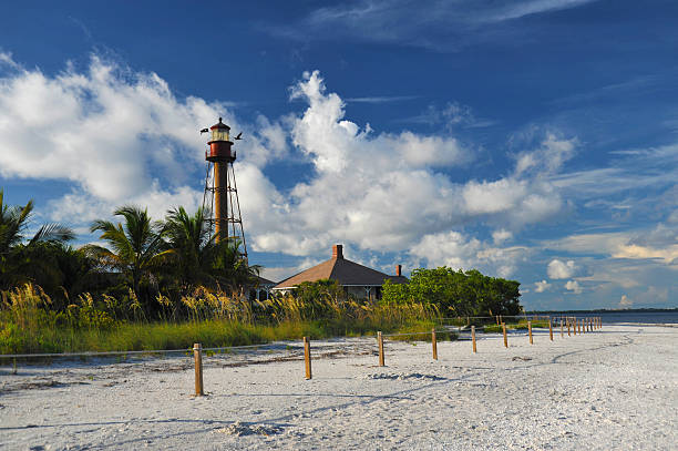 istock Sunny beach of Western Florida 503026829