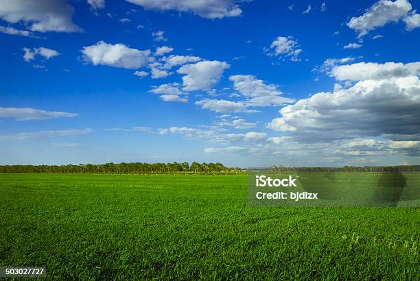 Photo libre de droit de Paysage De Prairie banque d'images et plus d'images libres de droit de Plaine - Caractéristiques de la terre - Plaine - Caractéristiques de la terre, Pâturage, Scène rurale