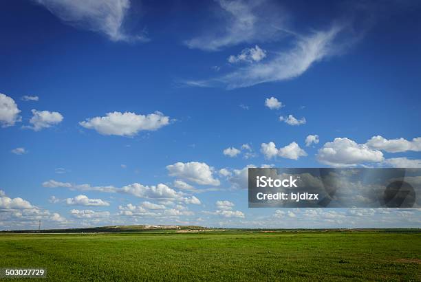 Paisagem De Prado - Fotografias de stock e mais imagens de Agricultura - Agricultura, Ao Ar Livre, Azul