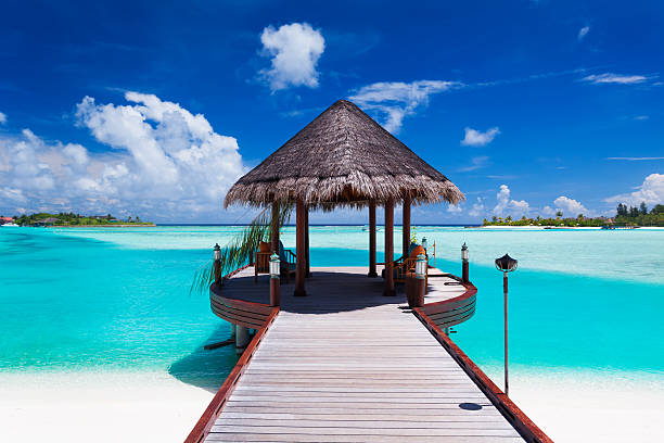 istock Jetty with ocean view on tropical island 503029515