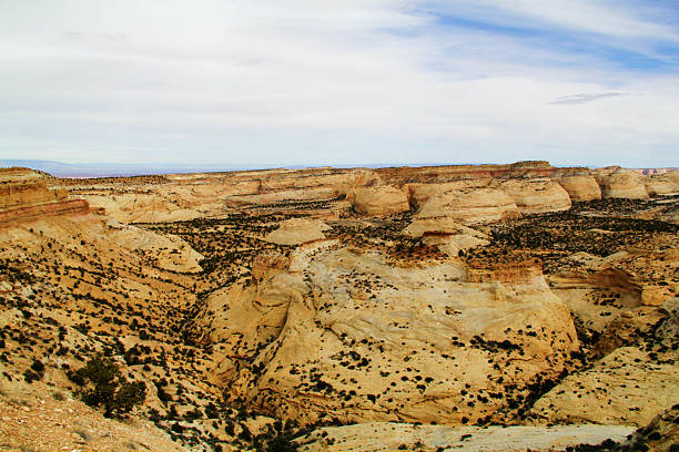 istock Desert Landscape Background Grand Canyon 503030075