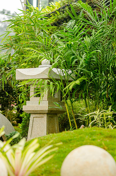istock Japanese Zen garden 503030554