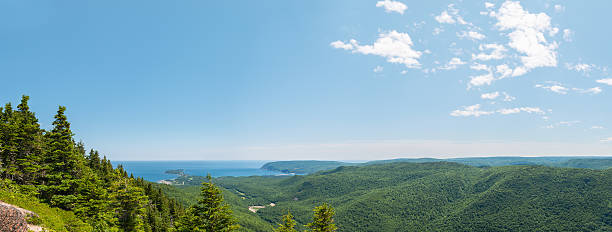 istock Panoramic view of canyon and coastline 503038573