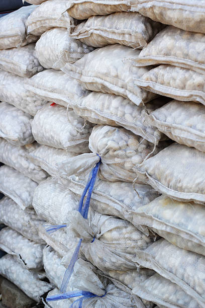 istock Small white stones in a bag for landscaping. 503038819