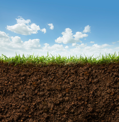 cross section of grass and soil against blue sky