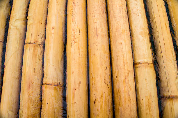 texture bambù - golden bamboo foto e immagini stock