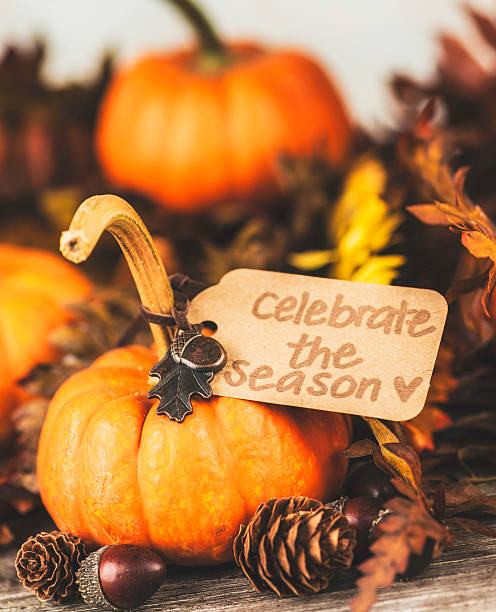 istock Thanksgiving Decorations - Celebrate the Season 503042279