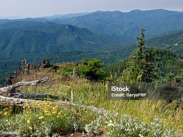 Western Oregon Pico Da Montanha Floresta De Pedra Outcropping Smokey Céu - Fotografias de stock e mais imagens de Afloramento