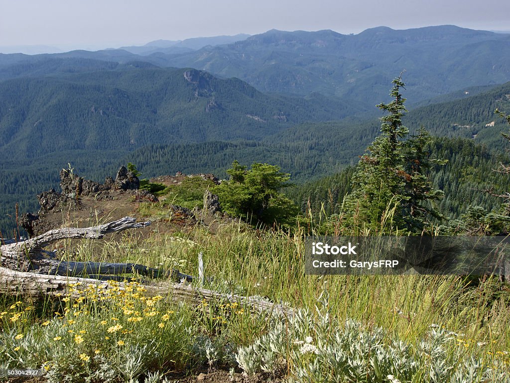 Западная Орегон Пик лес дымчатый небесный рок Outcropping - Стоковые фото Без людей роялти-фри