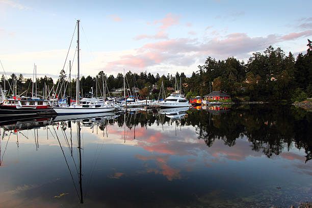 istock Brentwood Bay 503043637