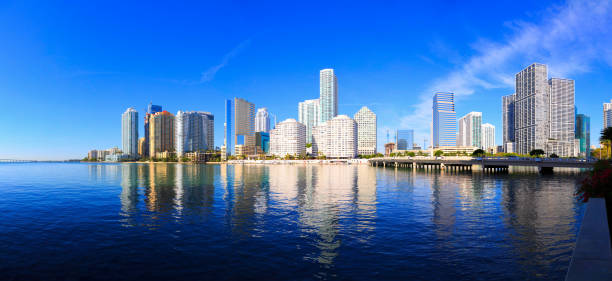 istock Skyline of Miami, FL 503044079