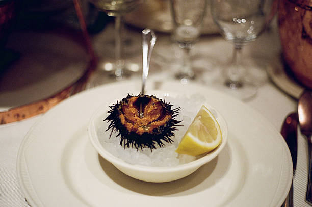 istock Sea Urchin in Italy 503044603