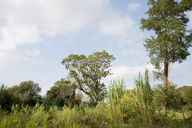 Park of Pateira de Fermentelos