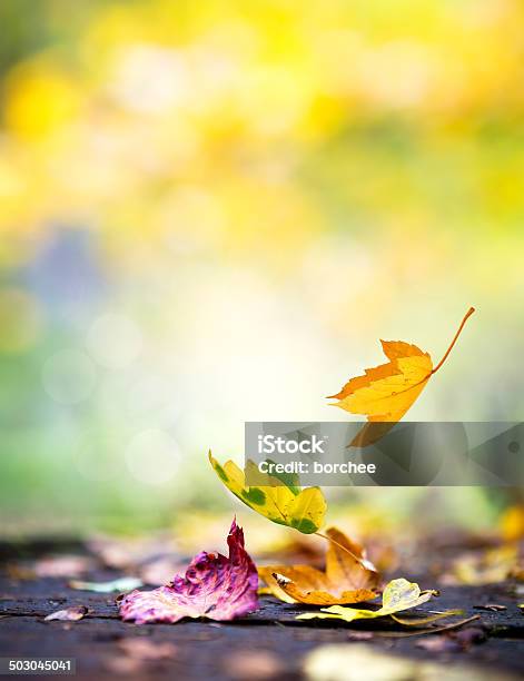 Falling Autumn Leaves Stock Photo - Download Image Now - Abstract, Autumn, Beauty In Nature