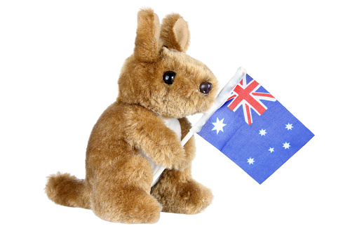 Kangaroo Soft Toy on White Background