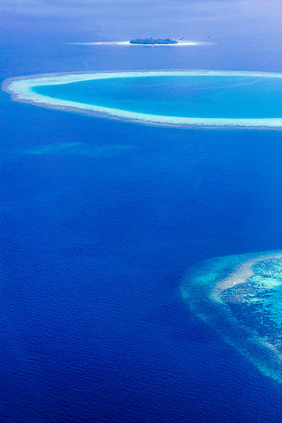 istock North Ari Atolls - The Maldives 503046476