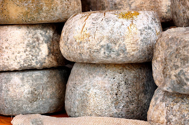 Pecorino cheese wheels stock photo