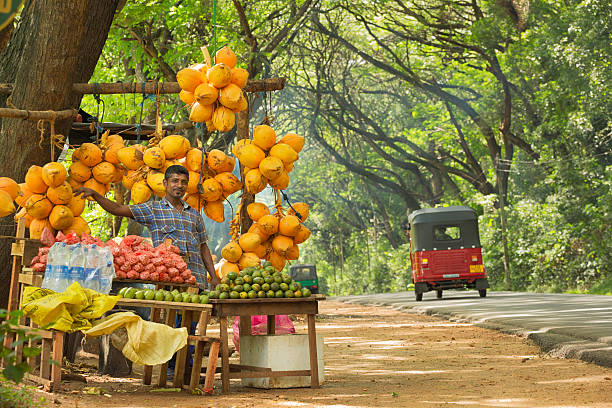 frutta fornitore in sri lanka - pianta nana foto e immagini stock