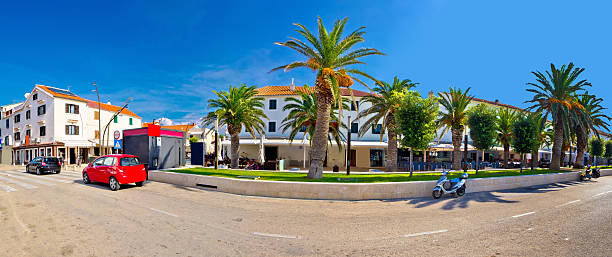 istock Novalja on Pag island palm waterfront 503048962