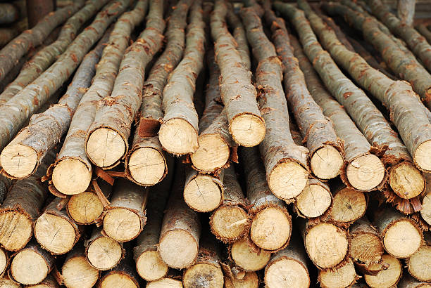 istock pile of wood logs 503050996