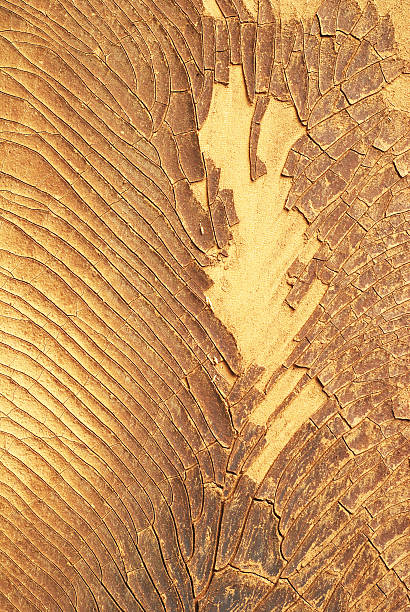 istock Cracks in the wood wall background 503052038