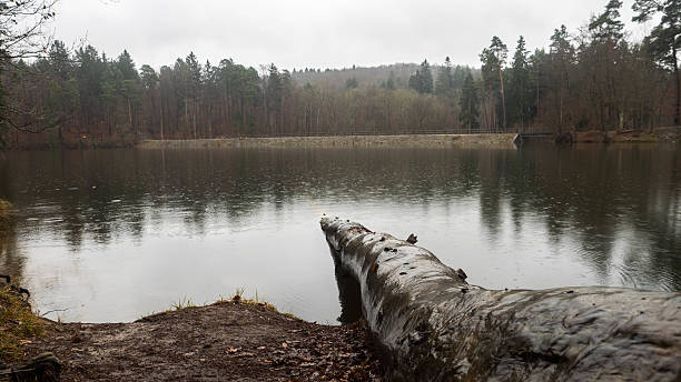 istock New Lake in Stuttgart 503052866