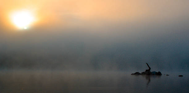 istock Sunrise in the fog 503058014