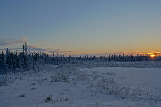 istock Sunrise Over Snow Covered Trees in Yellowknife 503058342