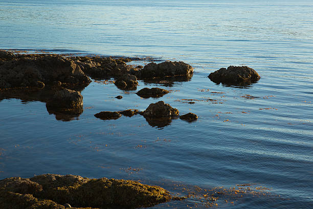 Rocky Shore stock photo