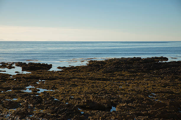 Rocky Coast stock photo