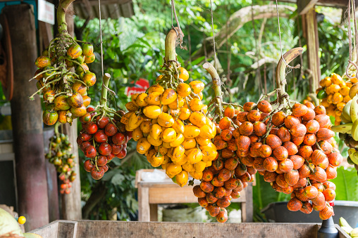 Costa Rica Pejibaye frutas para la venta en exhibición en el mercado photo