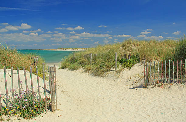 istock Beach at the Atlantic Ocean, France 503068313