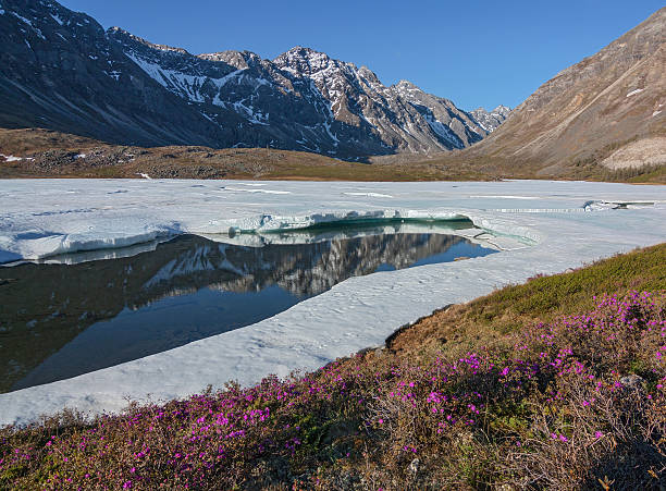 istock Icing on the river in the mountains 503069387