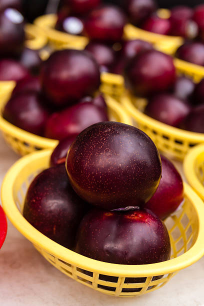 istock Farmers Market 503069707